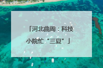 河北曲周：科技小院忙“三夏”